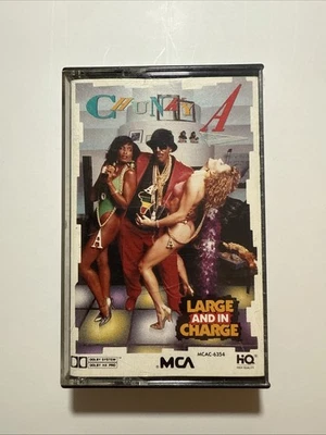 Vintage 1989 Chunky A (Arsenio Hall)  - Large And In Charge - Cassette Tape - Image 1 of 4