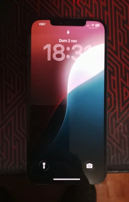 Apple iPhone 12 Pro Max - 128GB - Grafite (Sbloccato) - Immagine 1 di 3