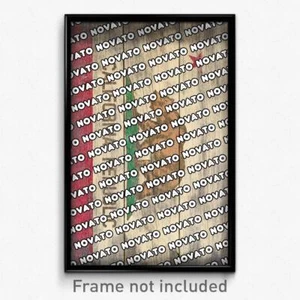 Novato California Poster (CA City Souvenir 11x17 Town Print) - Picture 1 of 1