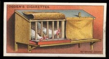 Tobacco Card, Ogdens, POULTRY REARING & MANAGEMENT, 1922, 1st Series, Coopes,#23
