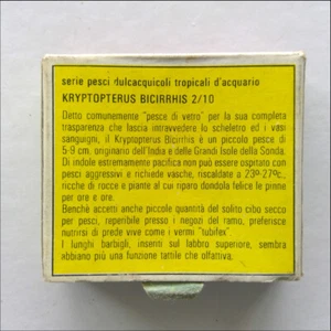 Kryptopterus Bicirrhis Italy Matchbox (MX53) - Picture 1 of 3