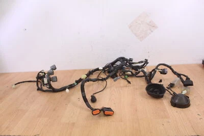 Kawasaki Ninja 300 Ex300 2015 arnés de cable principal/cableado Foto 1 de 4
