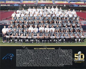 2015 CAROLINA PANTHERS FOOTBALL SUPER BOWL 50 8X10 TEAM PHOTO PICTURE - Picture 1 of 1