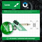Lambda Sensor LEB396 Lucas Oxygen AMR6244 Genuine Top Quality Guaranteed New