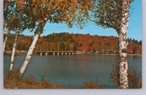 Lake Scene, Somewhere, USA, Vintage Chrome Postcard - Picture 1 of 2