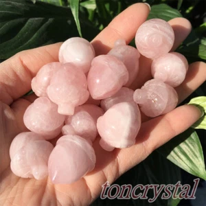 5 Stück Natürlicher Rosenquarz Quarz Nüsse Schädel Geschnitzt Kristallschädel Reiki Heilung - Bild 1 von 12