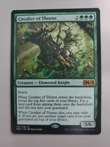 Juego básico Cavalier of Thorns 2020 Regular Mythic Magic The Gathering - Imagen 1 de 1
