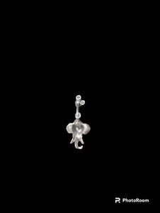 Vintage Elephant Belly Ring Body Jewelry Navel 14G 1.6mm NEW Titanium Post Only - Picture 1 of 3