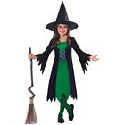 Girls Halloween Wicked Witch Costume