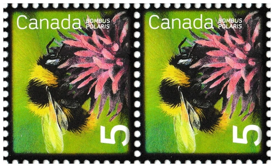Канада 2236 полезные насекомые Northern Bumblebee 5c horz пара MNH 2007 - Изображение 1 из 1