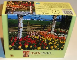 New Sealed MB BIG BEN Hasbro DISPLAY GARDEN WA 1000 Pc Jigsaw Puzzle 4962-B57 - Picture 1 of 2