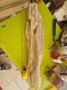 LEGNO FOSSILE SUI 60 CM - Foto 1 di 9