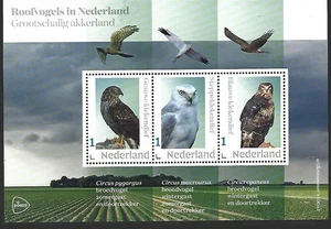Países Bajos 2025-2 aves rapaces: Harriers m/s mnh/postfris u - Imagen 1 de 1