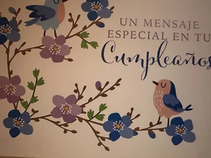Un Mensaje Especial En Tu Cumpleanos - 4.5" X 6.25" - Spanish birthday Card - Picture 1 of 7