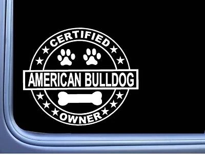 EZSTIK Certified American Bulldog L288 Dog Sticker 6" decal