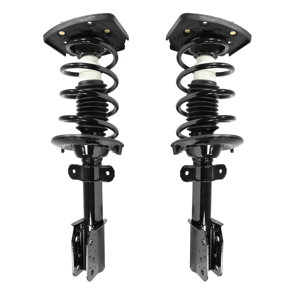 Rear Pair Complete Struts & Coil Springs for Century Grand Prix Regal FWD - Изображение 1 из 1
