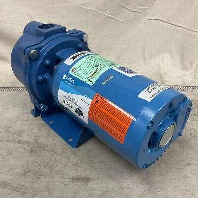 GOULDS WATER TECHNOLOGY GT203 喷灌泵 自吸 208-230/460V 交流电 2马力 — 第 1/4 张图片