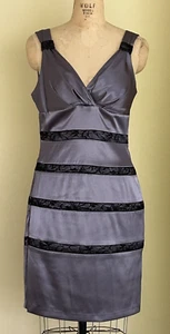 Bisou Bisou Gray/Black Sleeveless Bodycon Satin Lace Stripe Dress Size 10 NWT - Picture 1 of 11