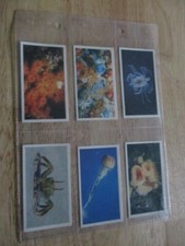 Doncella The Living Ocean Full Set By John Player & Sons