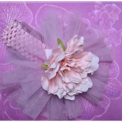 Грязь пирог девочек маленькая принцесса розовый балерина тюль Puff маленький пион обруч для волос - Изображение 1 из 4