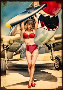 WW2 sexy pin-up war plane Spitfire P-40's P-51 Mustangs prints or metal tin - Picture 1 of 2