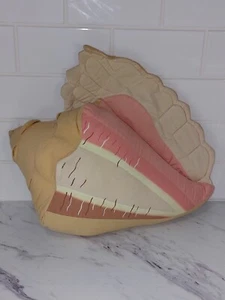 Vintage Angelitos 1989 Conch Sea Shell Beach Throw Pillow Plush El Salvador See - Picture 1 of 10