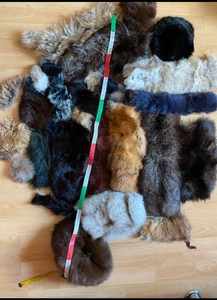 Grosse echtes Fell Pelz Reste Echt Silber Fuchs Nerz zwei Mützen Raccoon VIEL - Bild 1 von 4