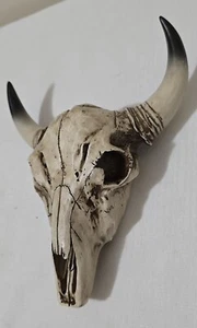 Western Cow skull resin wall mount 9" Home Decor item - Picture 1 of 11