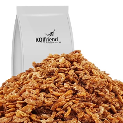 Bachflohkrebse 1 kg Koifutter Gammarus Vogel Reptilienfutter Koi Fisch