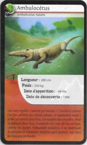 Carte Bioviva! - Ambulocétus - Picture 1 of 2