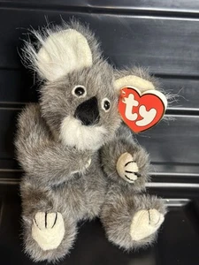 ty baby beanies Retired Brisbane The Koala - Picture 1 of 2