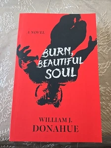 Burn, Beautiful Soul - Paperback Novel - Bild 1 von 3