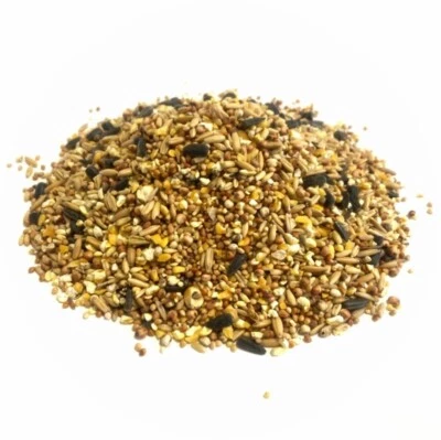 EVERYDAY WILD BIRD FOOD 15kg SOLD BY MALTBYS STORES 1904 LIMITED WILD BIRD SEED.