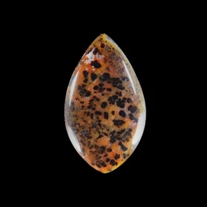 Cheetah Agate 50x29x6 mm Pendant bead GC803048 - Picture 1 of 4