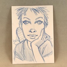 MATT DIXON "DIXON'S VIXENS MASTER SET" Cult-Stuff SKETCH ART CARD #SC1 VERY RARE