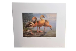 1989-90 Australia Duck Stamp Print Artist Daniel Smith (Signed) w/2 Stamps - Picture 1 of 7