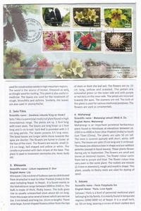 Plants of Nepal 2015 First Day Cover FDC Brochure Flora Theme - Picture 1 of 2