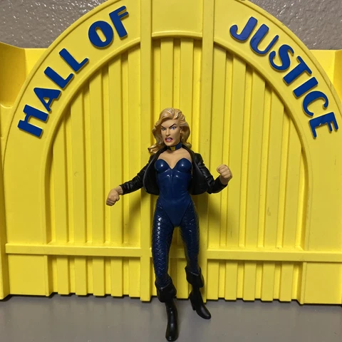 2000 DC Direct Action Figures JLA Hard Traveling Heroes BLACK CANARY Complete Cover