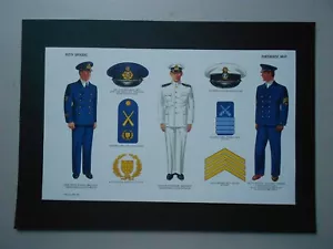 MILITARY PRINT-WW2 NAVAL UNIFORMS & INSIGNIA: PORTUGUESE NAVY: PETTY OFFICERS - Picture 1 of 1