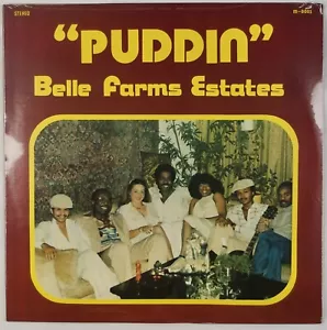 BELLE FARMS ESTATES: Puddin US Private Baltimore Funk Soul Disco OG Vinyl LP - Imagen 1 de 2