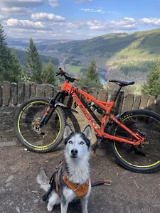WHYTE G160 works + EXTRAS - Picture 1 of 8