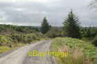 Photo 6X4 Rowantree Cleugh Chirdonhead Forest Track Running Alongside Row C2007