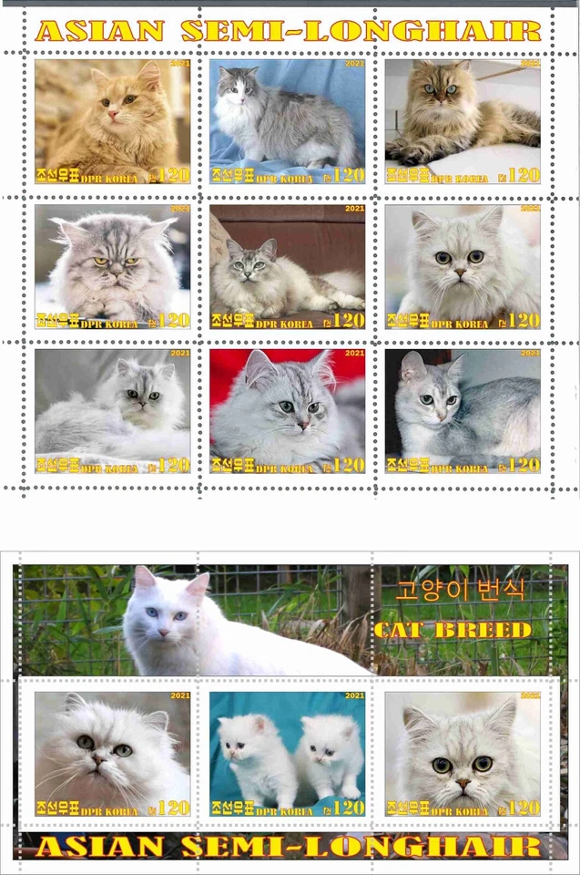 Stamp sheet+block Asian Semi-Longhale 2021 Korea issue - Image 1 of 1