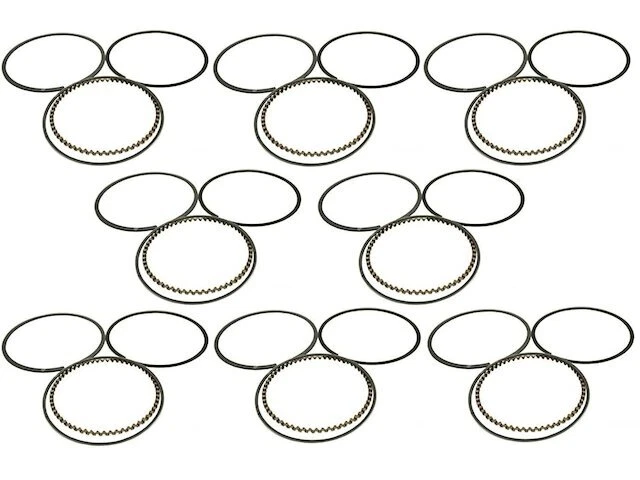 Anillo de pistón compatible con Land Rover Discovery 1996, 1998, 2001-2002 4,0 L V8 Rover 25SKFG Foto 1 de 1