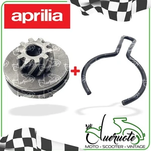 PIGNONE INGRANAGGIO AVVIAMENTO APRILIA SCARABEO 50 RALLY AMICO GULLIVER SONIC SR - Foto 1 di 4