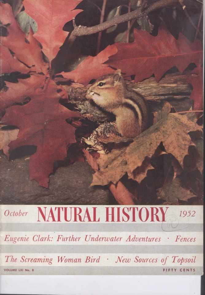 1952 Natural History Magazine - October: Eugenie Clark Underwater/Topsoil Source - Image 1 of 1