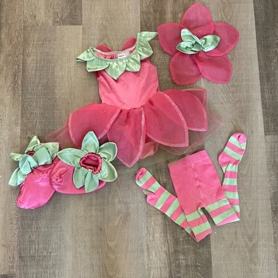 Gymboree Pink Flower Blossom Baby Costume 12-18 months - Image 1 of 4