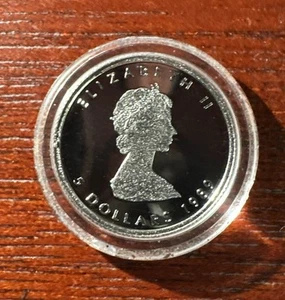 1989 Canada 1/10oz Proof Platinum Maple Leaf BU UNC Proof - Picture 1 of 4