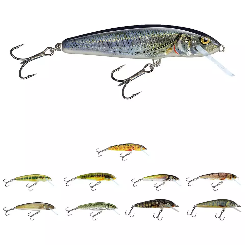 Salmo Minnow Wobbler Kunstköder Crankbait Köder Barsch Zander Hecht Forelle - Bild 1 von 1