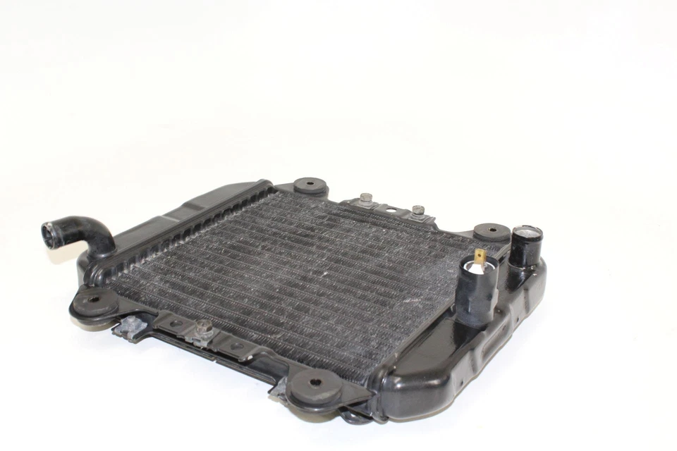 Kawasaki Ninja 250R Ex250F 2006 radiador motor enfriador radiador de refrigeración Foto 1 de 4